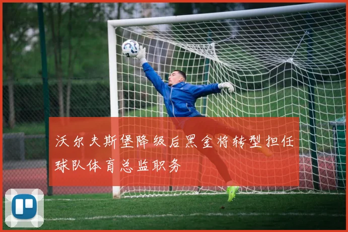 沃尔夫斯堡降级后黑金将转型担任球队体育总监职务