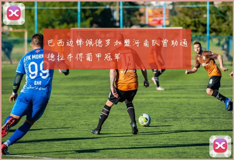 巴西边锋佩德罗加盟河南队曾助通德拉夺得葡甲冠军